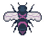 Tier 2 - Apico