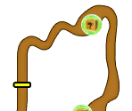 Stable: Outing - Mario Sports Superstars
