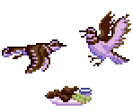 Birb - Katia et al.: Break in