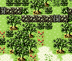 Coffee Forest - Shi Kong Xing Shou (Bootleg)