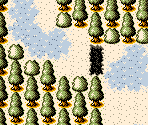 Route 11 - Shi Kong Xing Shou (Bootleg)