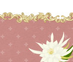 UI (Default) - Temirana: The Lucky Princess and the Tragic Knights