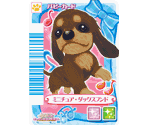 Puppies - Wantame Music Channel Dokodemo Style