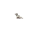 Nemo (Developer's Pet) - Blasphemous