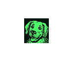 Portraits - Space Warlord Organ Trading Simulator