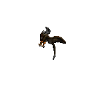 Blood Hawk - Diablo 2 / Diablo 2: Lord of Destruction