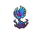 Fly Catcher - Sun Haven