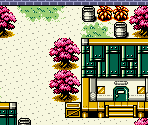 Initial Town - Digimon 3 Crystal (Bootleg)