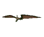 Pteranodon - Jurassic Park