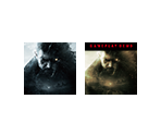 Executable Icons - Resident Evil Village