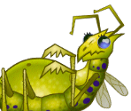 Locust Queen - Pocket God