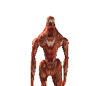 Clone - Dragon Tycoon Edge