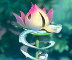Water Lily House - Tinker Bell