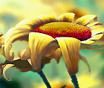 Sunflower House - Tinker Bell
