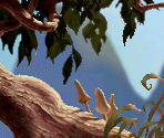 Sour Plum Tree - Tinker Bell