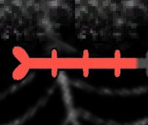 Boss Health Bar - Dokuro