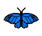 Butterflies - KoGaMa