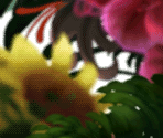 Location Elements - Tinker Bell