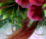 Dialogue Backgrounds - Tinker Bell