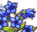 Flower - Defense Witches