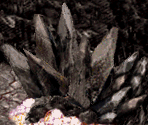 Battle Backgrounds - Blue Forest Story: Kaze no Fuuin