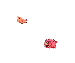 Pig & Hog - Atomicrops