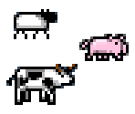Animals