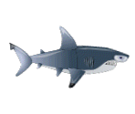Shark (Hammerhead Skin) - Pocket God