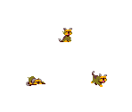 Yorkie - Atomicrops