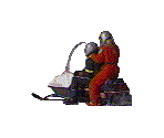 Entrance - Snowmobile - The Museum of Anything Goes
