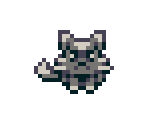 Cat - April Grove
