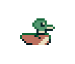 Duck - April Grove