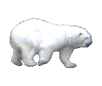 Left - Bear - The Museum of Anything Goes