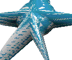 Left - Starfish - The Museum of Anything Goes