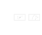 Options - Resident Evil Requiem