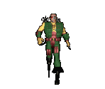 Pirate Captain - Alpha Storm