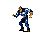 Bushwhacker - The Punisher