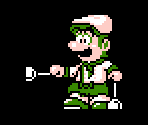 Luigi (NES Yoshi's Cookie Style) - Mario Customs
