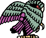 Raptor - Sol Cesto