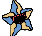 Starfish - Sol Cesto