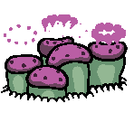 Poison Mushrooms - Sol Cesto