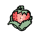 Strawberry - Sol Cesto