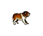 Beethoven - Beethoven: The Ultimate Canine Caper