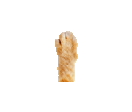 Cursor - Toilet Paper Idle