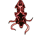 Squid - Quiver