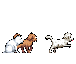 Dogs - Soul Saver Online