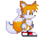 Tails - Sonic the Hedgehog Customs