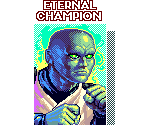 Portraits & Screens - Eternal Champions