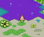 Packet Swamp (1) - Digimon World DS