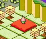 Packet Swamp (5) - Digimon World DS